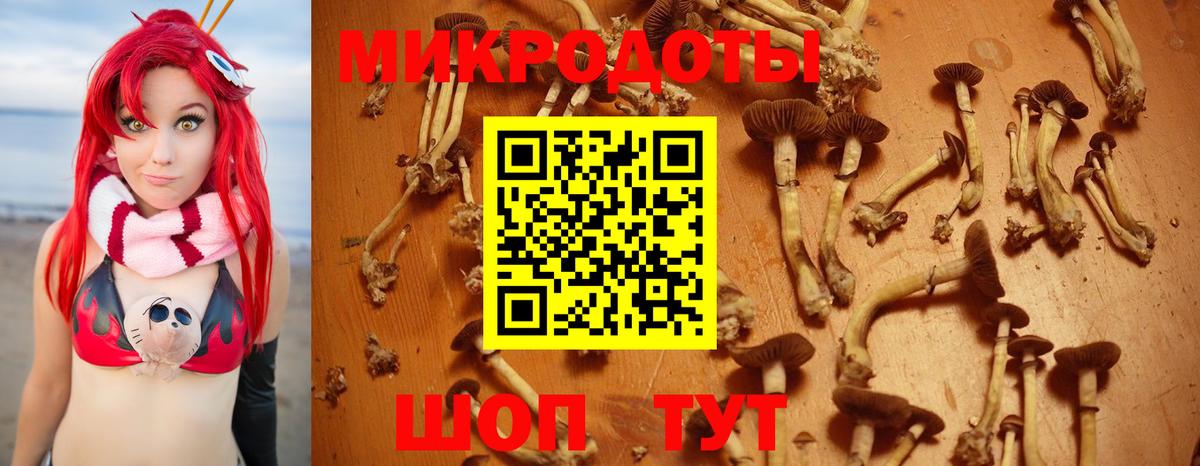 Галлюциногенные грибы ЛСД Верхний Уфалей